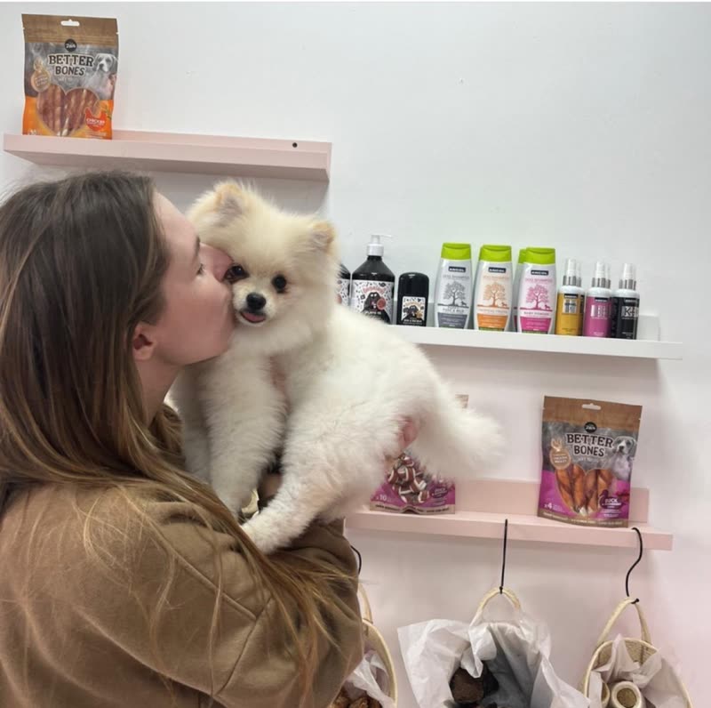 A groomer holding and kissing a freshly groomed white Pomeranian in the salon