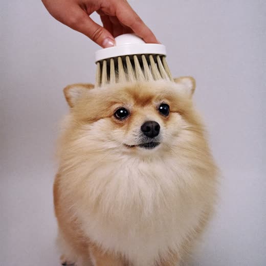 A fluffy dog's coat being brushed out with a slicker brush